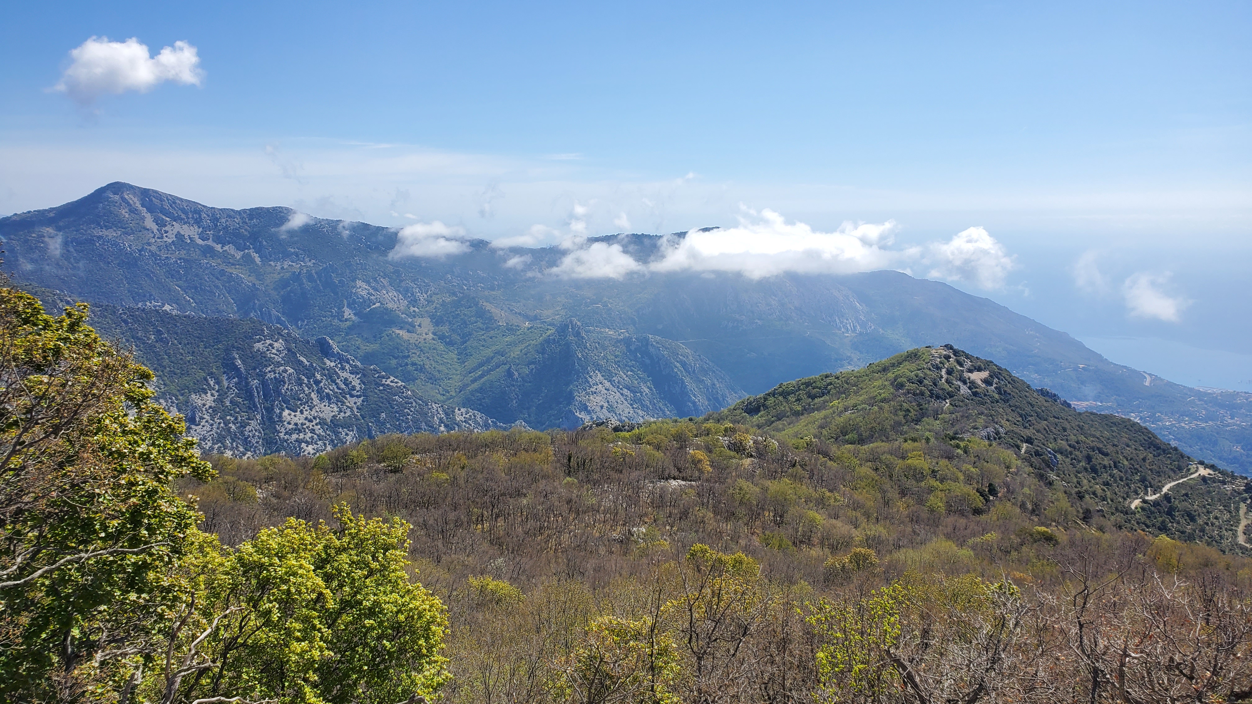 Photo n° 5 de l'avis de Francis.e fait le 27/04/2023 à 18:37