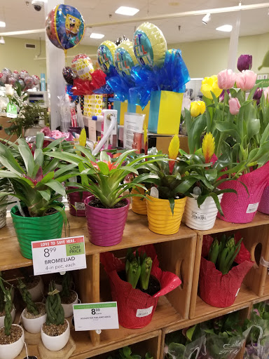 Supermarket «Publix Super Market at Anastasia Plaza», reviews and photos, 1033 A1A Beach Blvd, St Augustine, FL 32080, USA