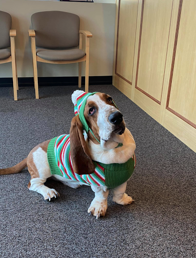 Auto Insurance Agency «State Farm: Aaron Starwalt», reviews and photos