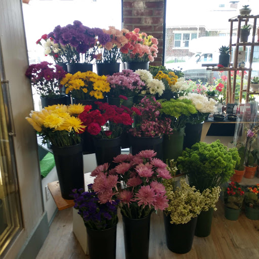 Florist «Lollipops & Roses Florist», reviews and photos, 450 Salem St, Medford, MA 02155, USA