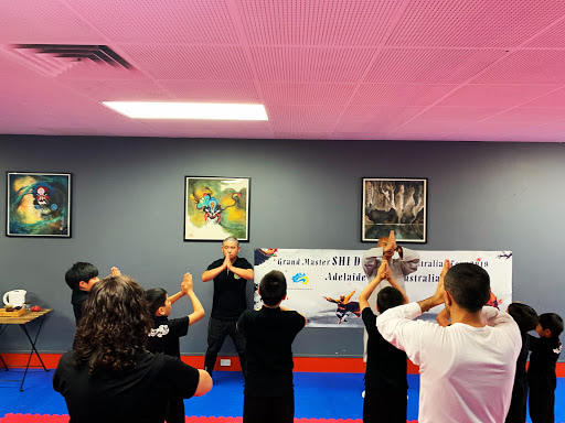 Adelaide Kungfu Wushu and Tai Chi Academy-Ye's Martial arts Au