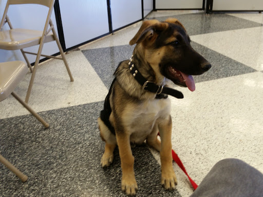 Pet Supply Store «Petco Animal Supplies», reviews and photos, 1835 E Guadalupe Rd #112, Tempe, AZ 85283, USA