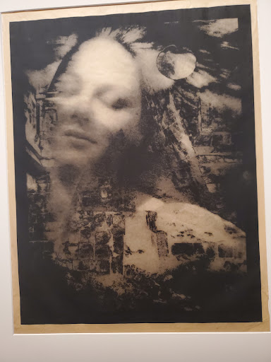 Museum «Polk Museum Of Art», reviews and photos, 800 E Palmetto St, Lakeland, FL 33801, USA