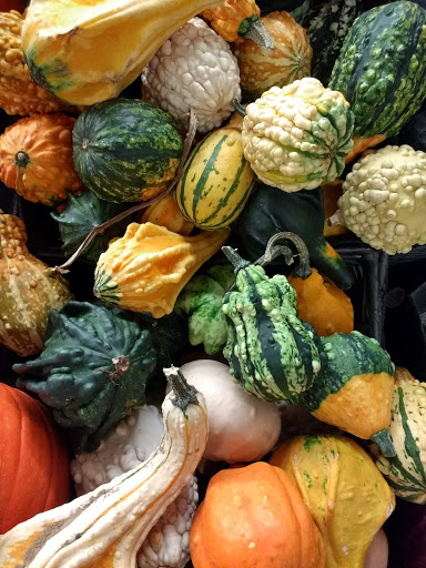 Grocery Store «Hannaford Supermarket», reviews and photos, 35 Elm St, Brunswick, ME 04011, USA