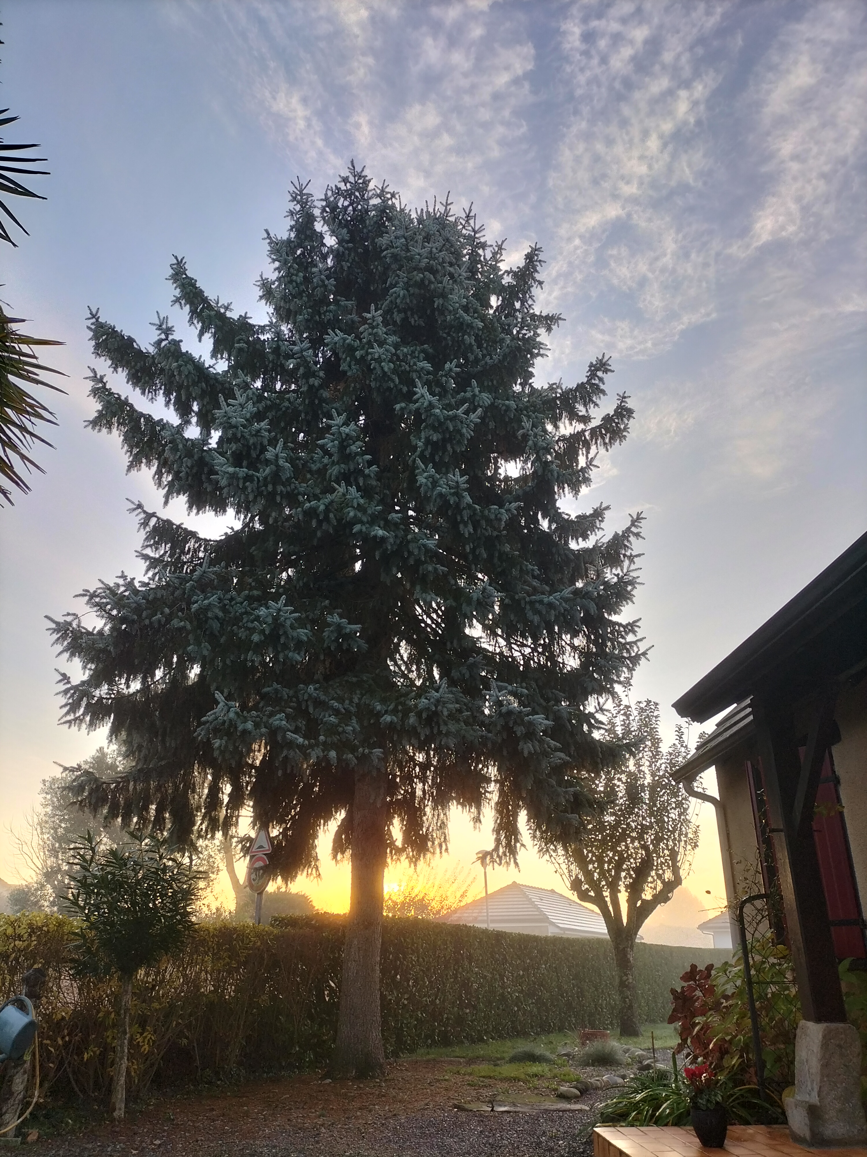 Photo n° 1 de l'avis de Alain.e fait le 30/11/2022 à 15:58