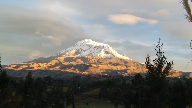 Comentarios y opiniones de LA EDELMIRA