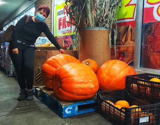 Mexican Grocery Store «Fiesta Market», reviews and photos, 939 E Irving Park Rd, Streamwood, IL 60107, USA