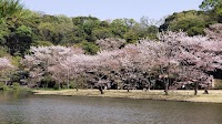 本牧市民公園