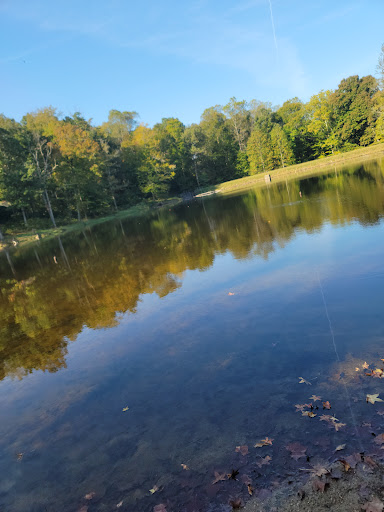 National Forest «Hoosier National Forest», reviews and photos, 811 Constitution Ave, Bedford, IN 47421, USA