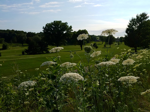 Public Golf Course «Ellis Golf Course», reviews and photos, 1401 Zika Ave NW, Cedar Rapids, IA 52405, USA