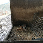 Photo n°5 de l'avis de Paolo.. fait le 17/10/2021 à 14:12 sur le  Agriturismo Porticella à Patti