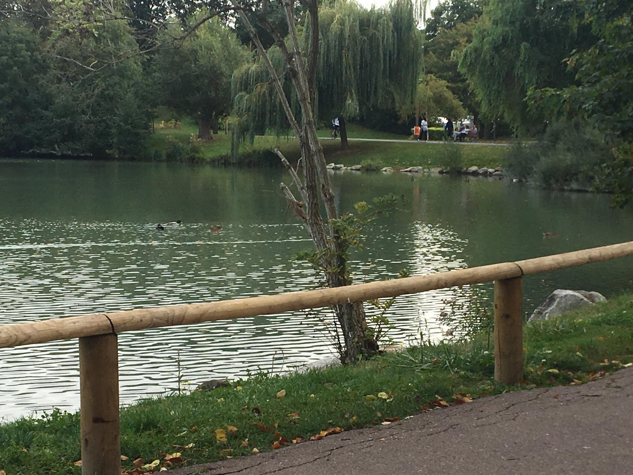 Photo n° 6 de l'avis de Youssef. fait le 20/10/2019 à 10:43