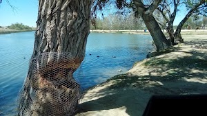 Mojave Narrows Regional Park - photo 26