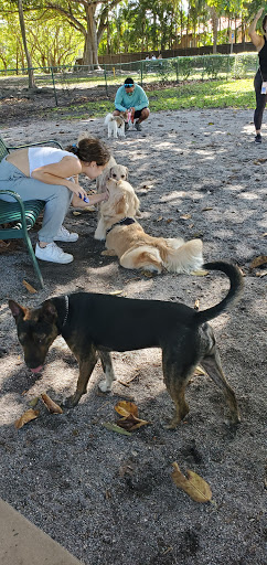 Community Center «Miami Beach JCC», reviews and photos, 4221 Pine Tree Dr, Miami Beach, FL 33140, USA