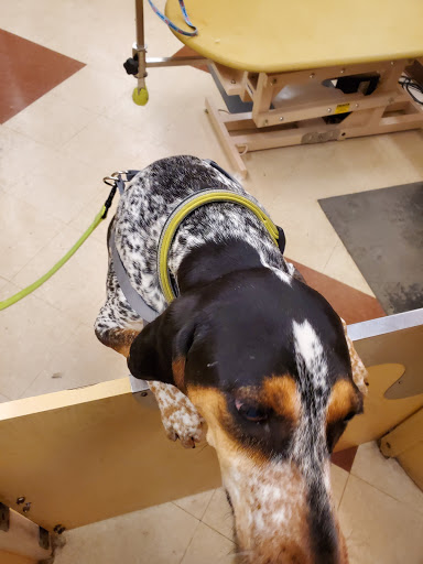 Pet Supply Store «PetSmart», reviews and photos, 2818 S Louise Ave, Sioux Falls, SD 57106, USA