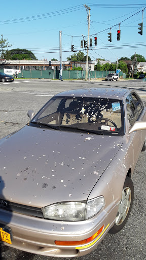 Appliance Store «P.C. Richard & Son», reviews and photos, 713 Hillside Avenue, New Hyde Park, NY 11040, USA