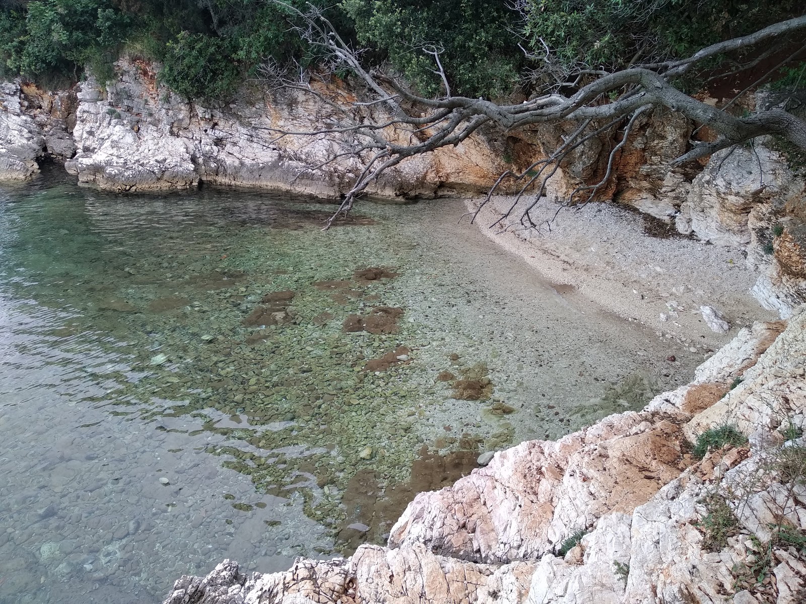 Photo de Mali Portluk beach zone sauvage