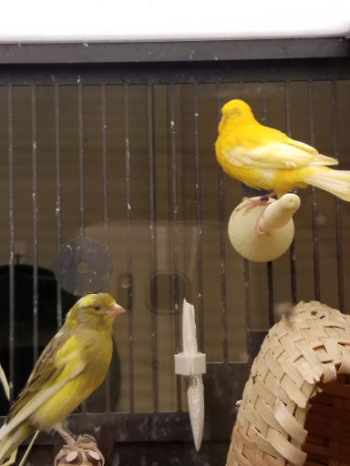 Pet Supply Store «PetSmart», reviews and photos, 401 S Mt Juliet Rd #645, Mt Juliet, TN 37122, USA