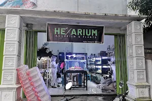 HEXARIUM image