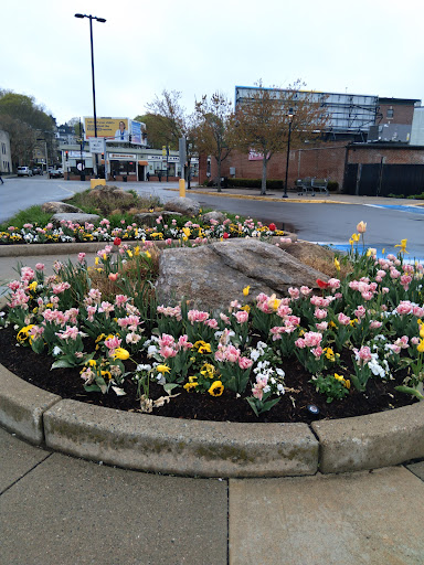 Grocery Store «Stop & Shop», reviews and photos, 460 Blue Hill Avenue, Boston, MA 02121, USA