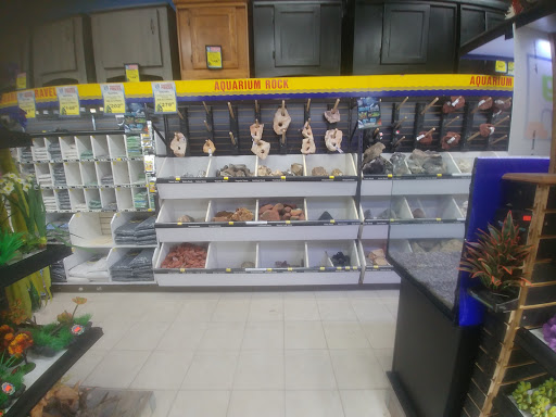 Reptile shops in Toronto