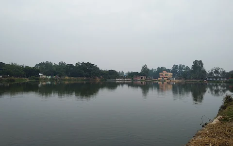 Dewandighi Pond image