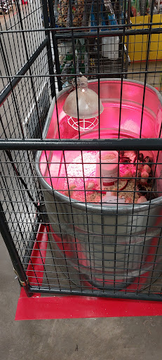 Home Improvement Store «Tractor Supply Co.», reviews and photos, 3790 Teays Valley Road, Hurricane, WV 25526, USA