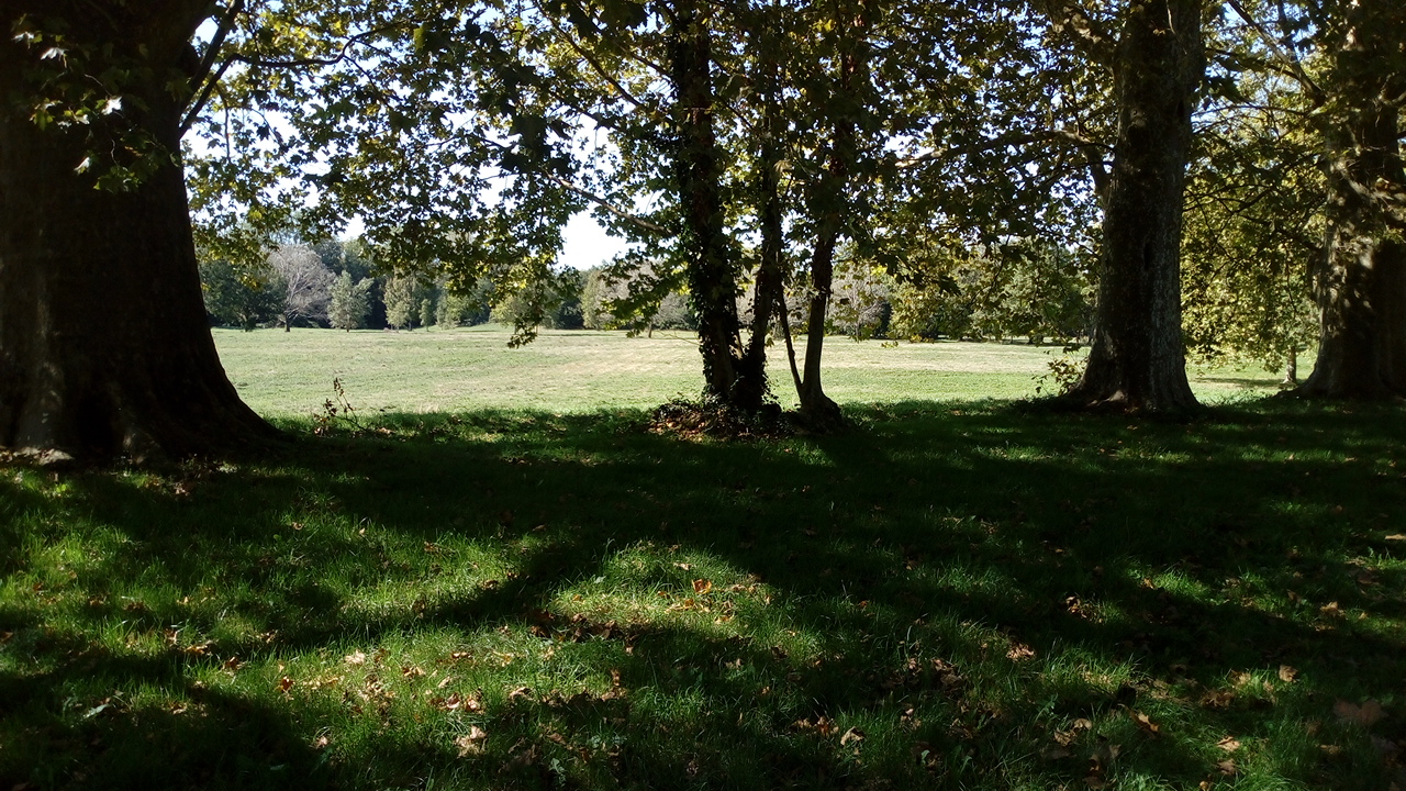 Photo n° 12 de l'avis de Delbart.e fait le 29/09/2019 à 12:17