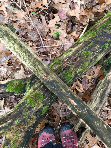 Nature Preserve «Leonard Preserve», reviews and photos, N Union St, Manchester, MI 48158, USA