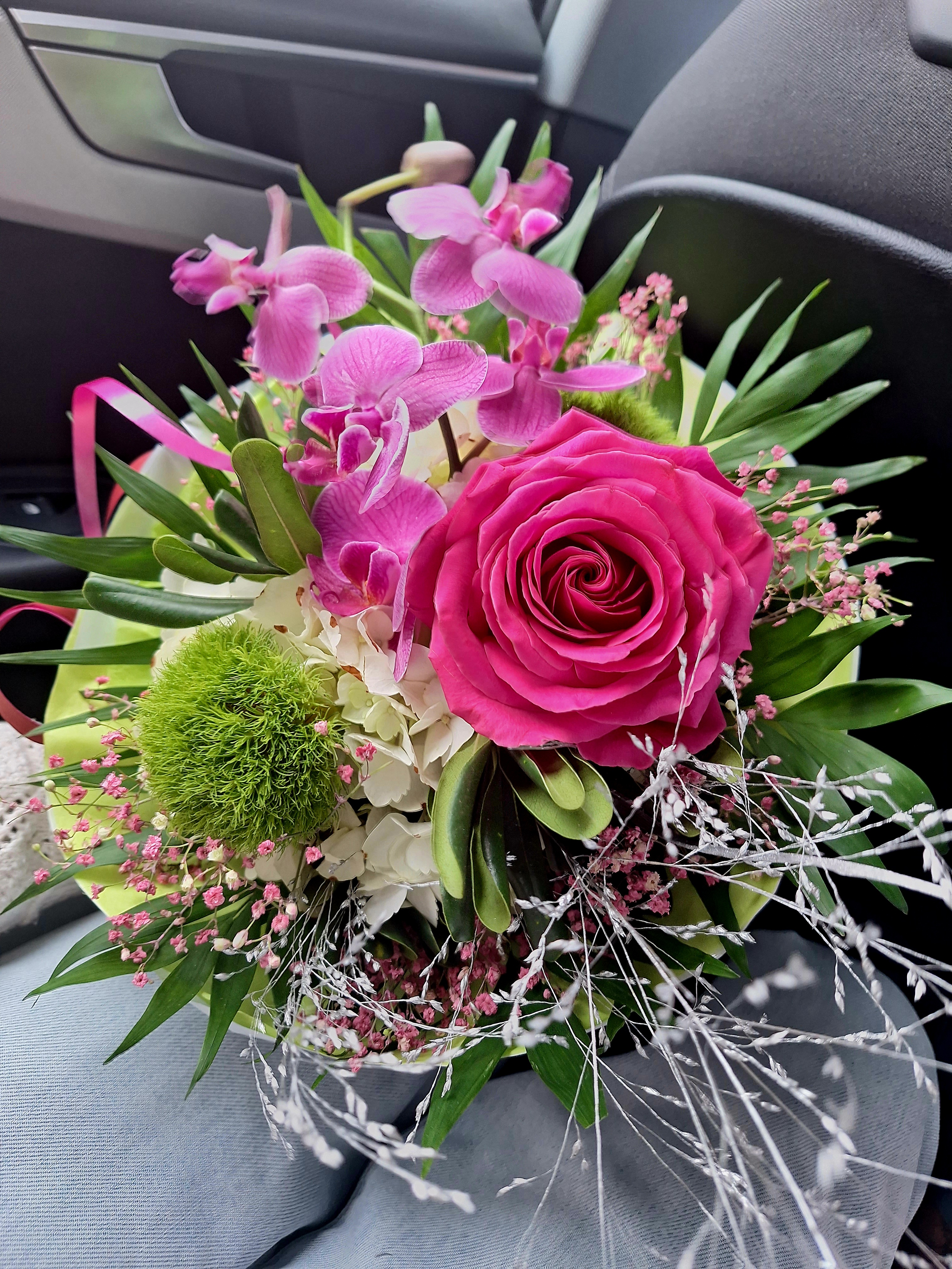 Photo n° 1 de l'avis de Marine.l fait le 23/12/2023 à 13:16