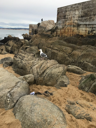 Aquarium «Monterey Bay Aquarium», reviews and photos, 886 Cannery Row, Monterey, CA 93940, USA