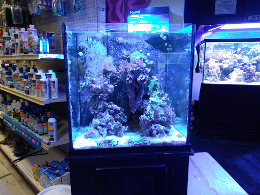 Tropical Fish Store «Ocean Gallery», reviews and photos, 980 US-22, North Plainfield, NJ 07060, USA