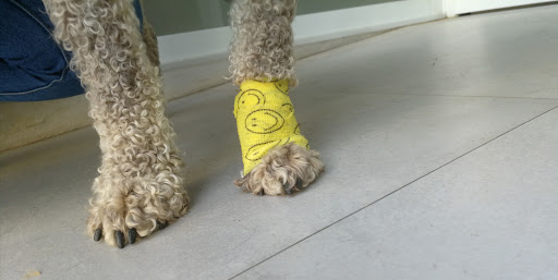 Clínica Veterinaria Axati en Lora del Río