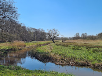 Toegangspoort 'Wedbroeken' Nationaal Park Drentsche Aa