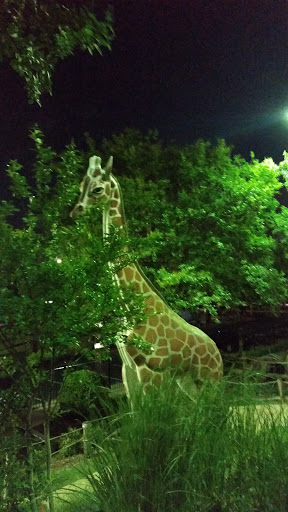 Amusement Park «Adventure Landing Raleigh», reviews and photos, 3311 Capital Blvd, Raleigh, NC 27604, USA