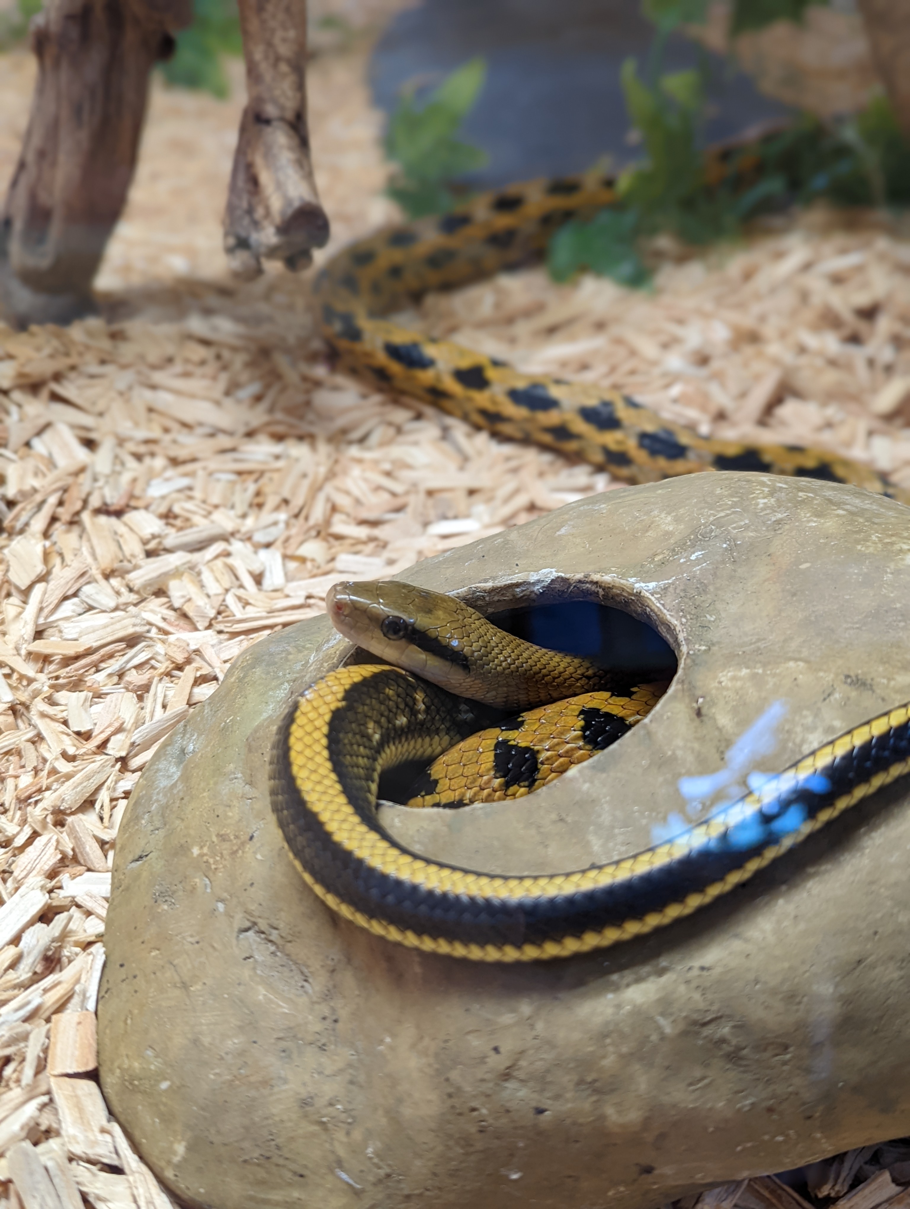 Photo n° 18 de l'avis de Mathieu.I fait le 07/05/2022 à 19:56