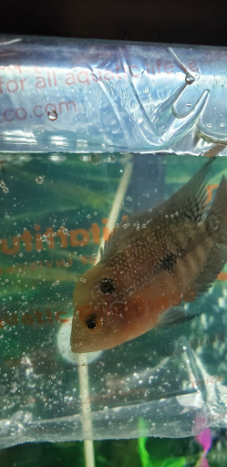 Pet Supply Store «Petco Animal Supplies», reviews and photos, 103 Commerce Way a, Woburn, MA 01801, USA