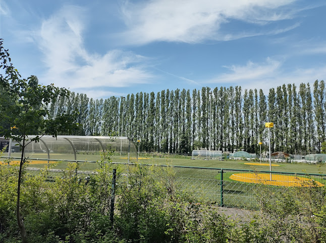 Beoordelingen van Sikopi Korfbal in Antwerpen - Sportcomplex