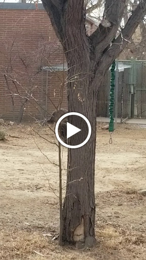 Museum «Tropical Discovery», reviews and photos, 2900 E 23rd Ave, Denver, CO 80205, USA