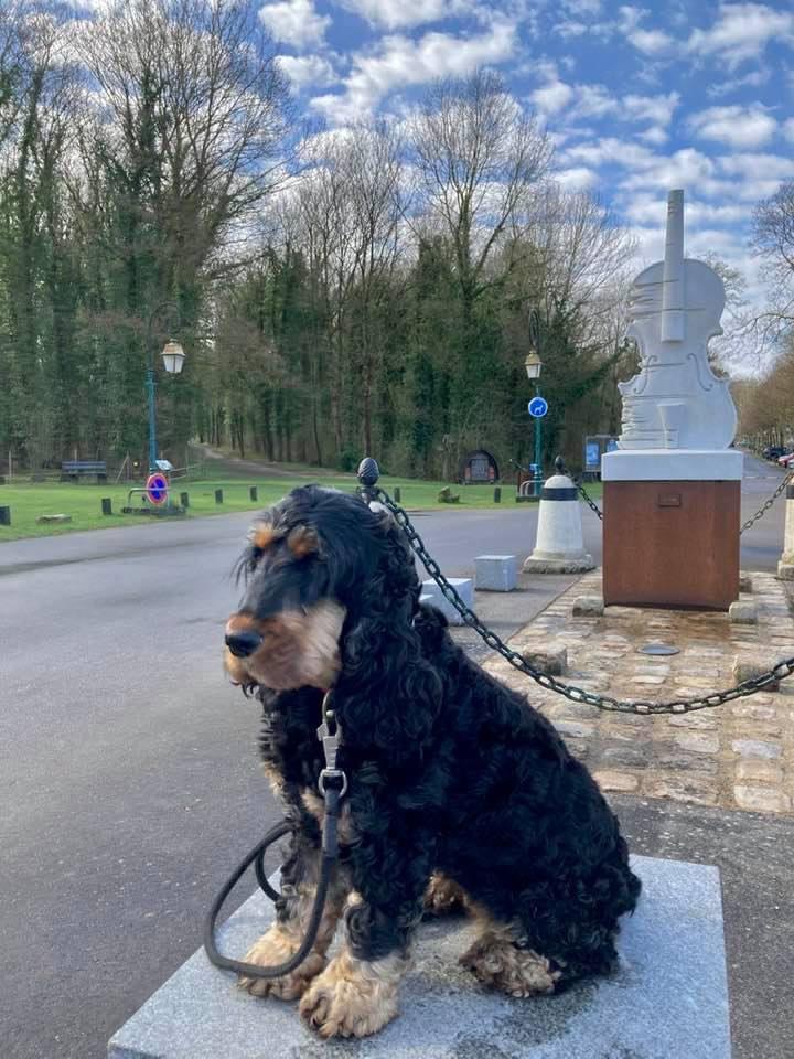 Photo n° 1 de l'avis de Aline. fait le 21/10/2021 à 16:12