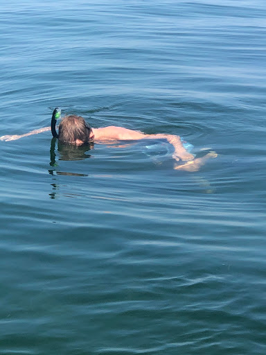 Fishing Charter «Tampa Fishing Charters with Capt Tim Whitfield», reviews and photos, 5200 W Tyson Ave, Tampa, FL 33611, USA