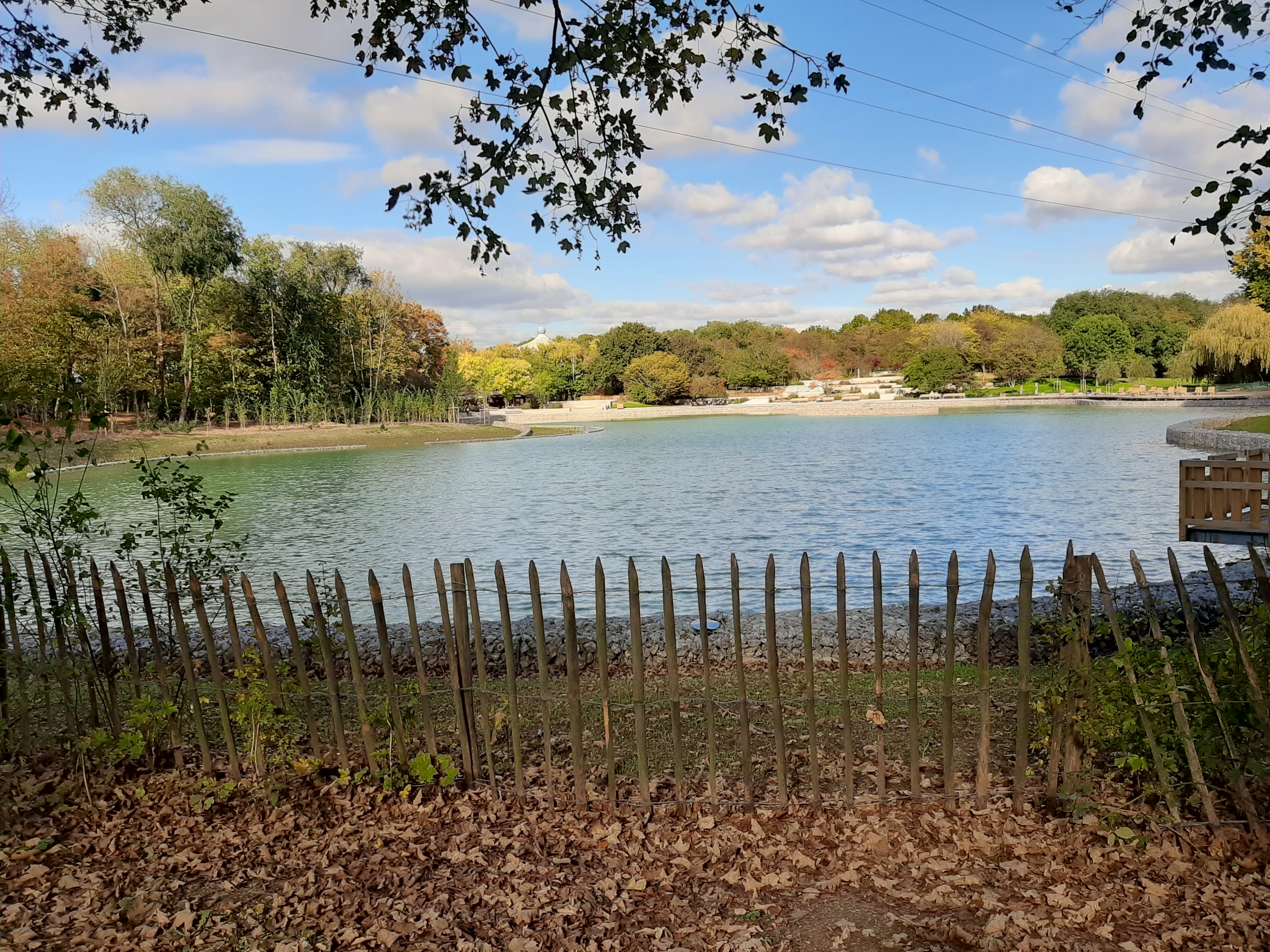 Photo n° 1 de l'avis de Pau.I fait le 15/10/2020 à 18:00