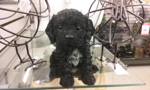 Craft Store «Hobby Lobby», reviews and photos, 3701 McKinley Pkwy #1240, Blasdell, NY 14219, USA