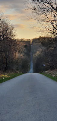 Forêt de Loudéac - Croisée de "Daguet" | Trois Grâces à La Motte