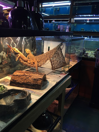 Pet Store «Pets World», reviews and photos, 147 Bridge St, Weymouth, MA 02191, USA