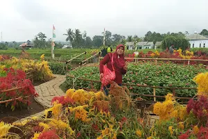 Taman Bunga Kampung Jambu image