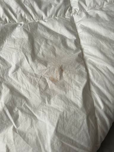 Dry Cleaner «Oxxo Care Cleaners», reviews and photos, 1501 E Las Olas Blvd, Fort Lauderdale, FL 33301, USA