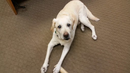 Laundry Service «Mahopac Launderaid & Dry Cleaners», reviews and photos, 960 S Lake Blvd, Mahopac, NY 10541, USA