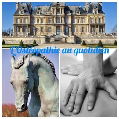 Jérémy Cartret à Maisons-Laffitte