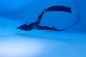 Seascout Diving Dive Center image